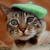Avatar de FrenchKat