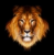Avatar de redleouf